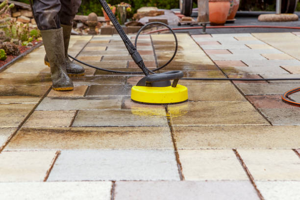 Best Animal Enclosure Cleaning  in Leander, TX